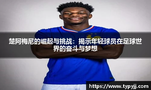 米乐M6体育