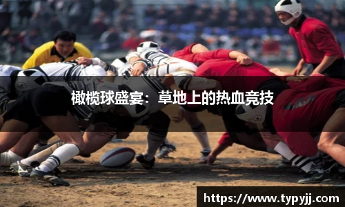 米乐M6_YY体育_YY易游体育_米乐M6官网_yy易游官网-APP
